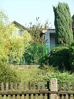 Třibřichy